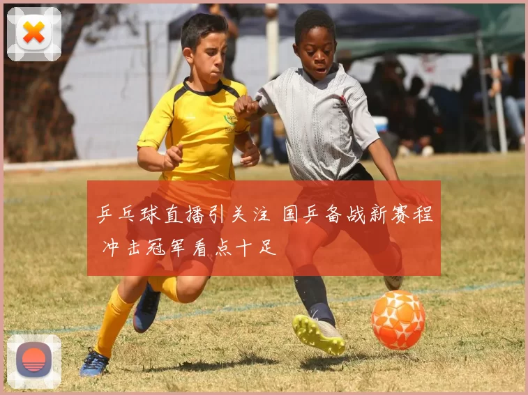 乒乓球直播引关注 国乒备战新赛程 冲击冠军看点十足