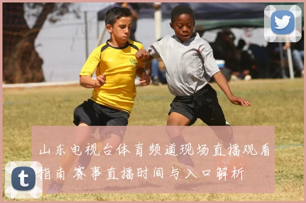 山东电视台体育频道现场直播观看指南 赛事直播时间与入口解析