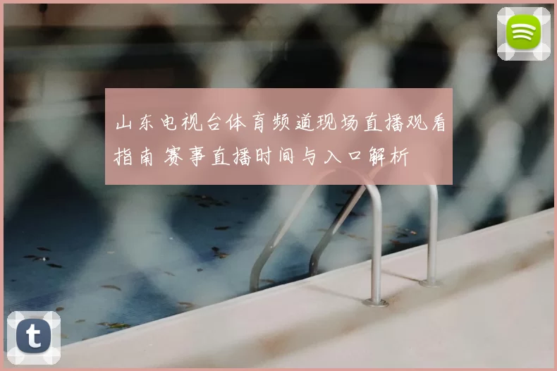 山东电视台体育频道现场直播观看指南 赛事直播时间与入口解析