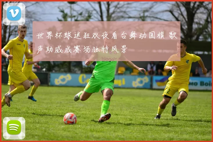 世界杯球迷狂欢夜看台舞动国旗 歌声助威成赛场独特风景