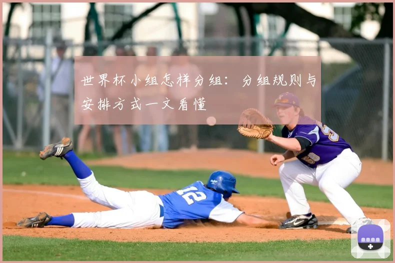 世界杯小组怎样分组:分组规则与安排方式一文看懂