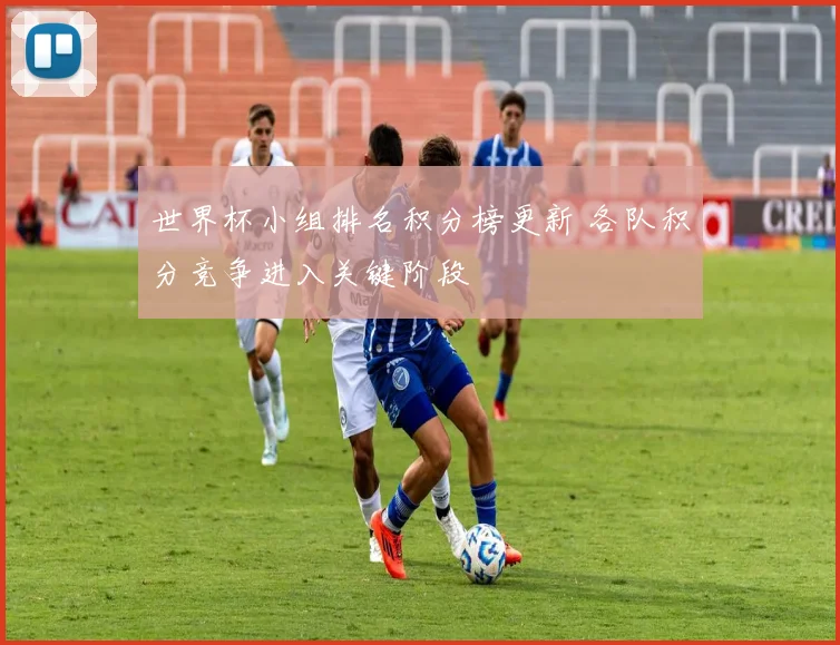 世界杯小组排名积分榜更新 各队积分竞争进入关键阶段